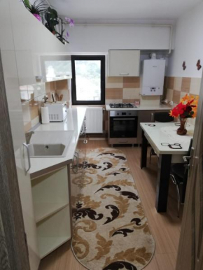 Apartament Ioana